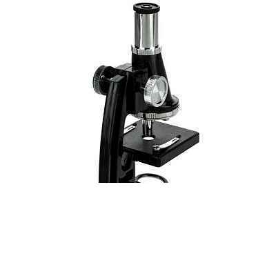131007025_639207622050462595_MICROSCOPE.jpg