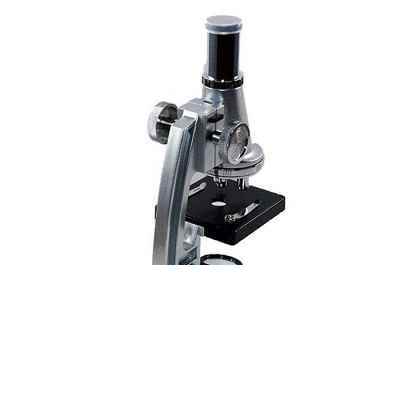 131007024_639202346334015763_microscope-1.jpg