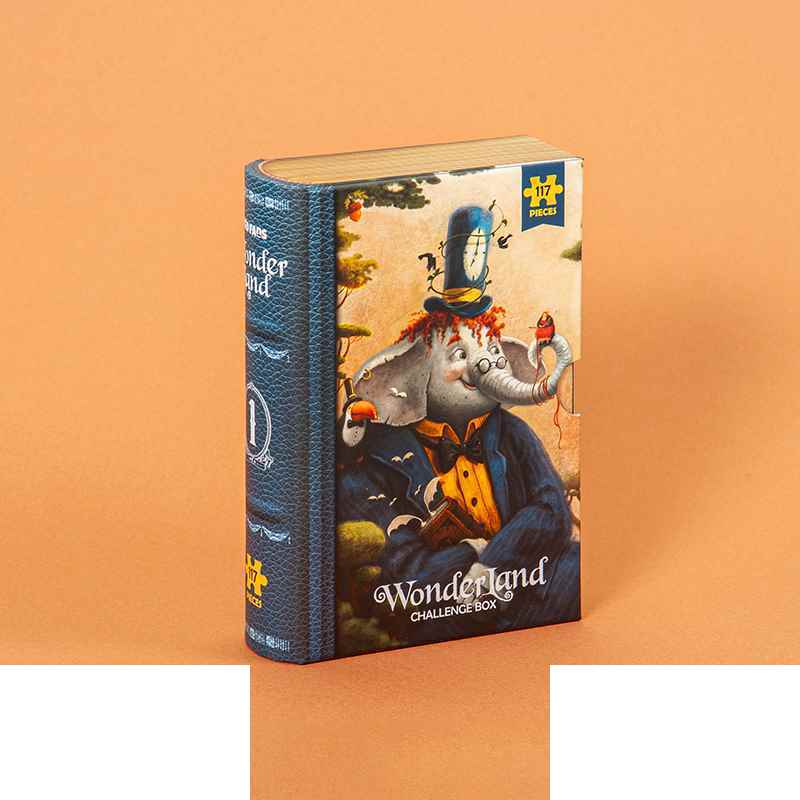 130002576_638903554743976311_KS2425 Wonder land Vol.1  (2).jpg