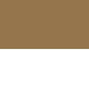 155001018_638957900390078563_brown.jpg