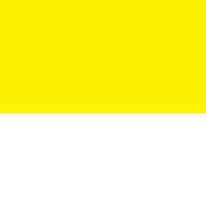 155001014_638957897697003423_yellow.jpg